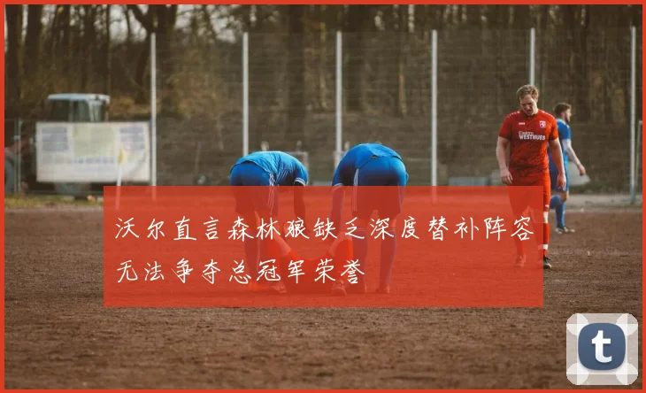 沃尔直言森林狼缺乏深度替补阵容无法争夺总冠军荣誉